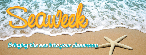 Seaweek: Bringing the sea into your classroom