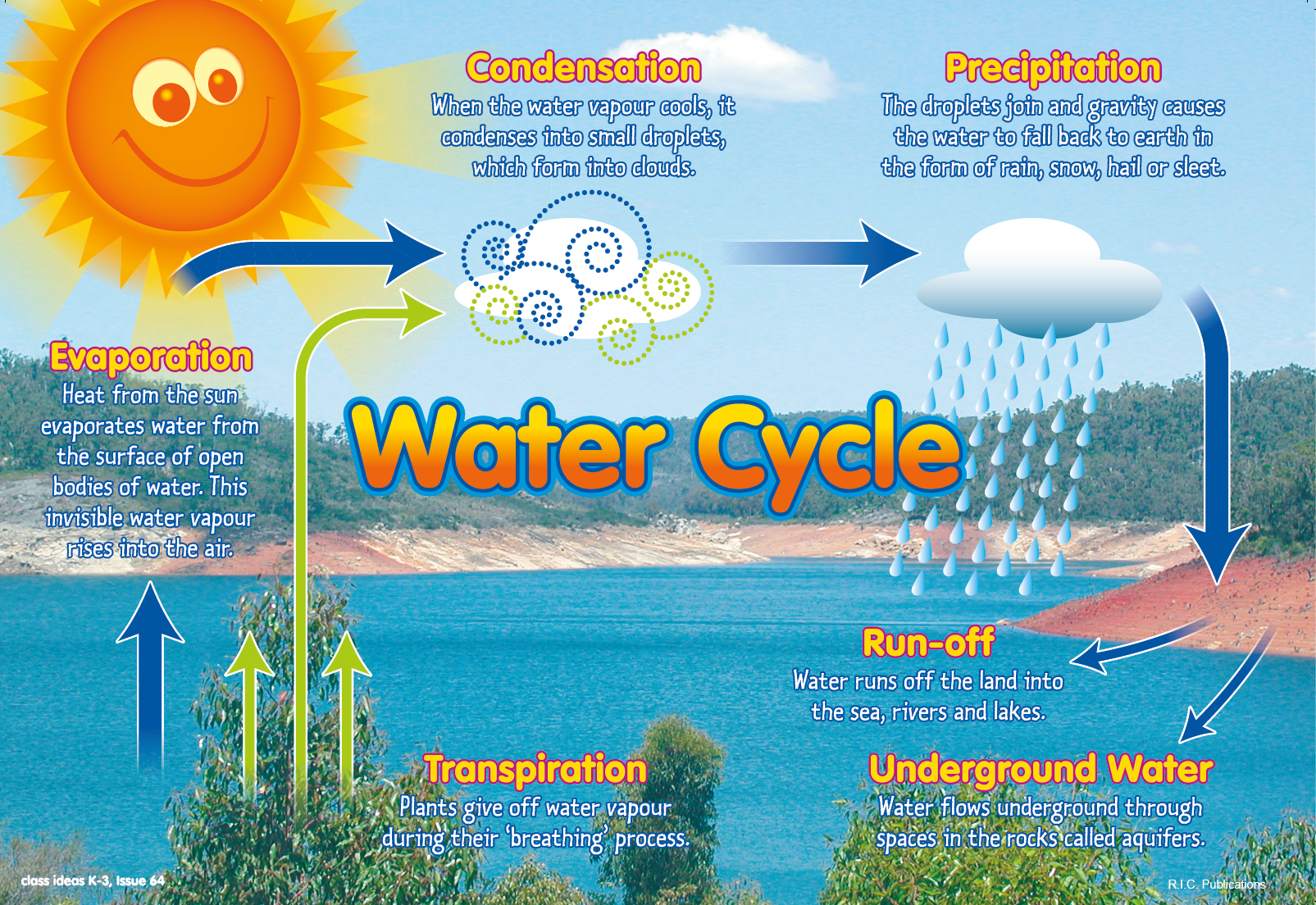 The Water Cycle | Free Science Poster
